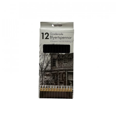 Blyanter profesjonelle 12 pk. graderte 